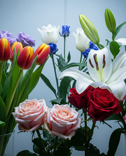 Refrigeración y Conservación Perfecta de Flores
